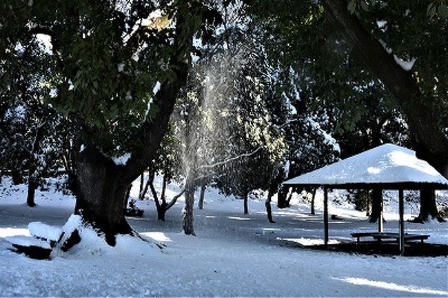 首都圏大雪 雪景色にカメラで遊ぶ 溝の口 武蔵小杉 神奈川県 の旅行記 ブログ By Kyokosa Nさん フォートラベル