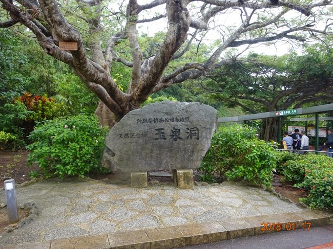 後半は沖縄南部の平和記念公園始め首里城公園そして北部の美ら海水族館を観光しました