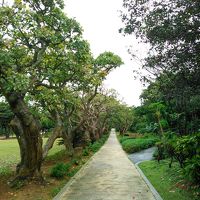 避寒旅 2018　宮古島　おまけ ～ 熱帯植物園＆博物館　＋那覇　識名園