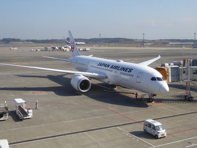 1年前に冬季休暇を利用してオーストラリアのタスマニア観光をしましたhttps://4travel.jp/travelogue/11205102。その際、チケット早期購入するとJALビジネス便が他社便より安いことが分かりました。今回も同様にJALビジネス便を利用して東京とシドニーを往復しました。オーストラリアでの訪問場所は異なりますが、昨年と同じ日程です。今回はパース起点で西オーストラリアを観光しました。オーストラリア国内はカンタス便とレンタカー利用です。<br /><br />昨年JAL利用の印象が良かったので今回も期待しました。日程は前回と同じで、NRT出発が12月23日夕方、帰着が1月2日夕方です。JAL機材は1年前と全く同じで、機内サービスも前回同様に丁寧で食事も美味しくて快適でした。残念だったのは、出発時に成田空港の桜ラウンジが沢山の利用者でとても混んでいて、上階の食事席で行列が出来ていたことです。下階の飲み物席には程々の空きがありました。家内は行列に並んで目的のカレーライスを食べましたが、私は行列と混雑を敬遠して、飲み物だけで済ませました。年末の最も混む時期とは思いますが、食べ物を求める長い行列は嬉しくありません。これに対し、シドニーとパースで利用したカンタス航空のビジネスラウンジは、混雑していませんでした。西オーストラリア観光は、毎日が晴天で珍しい景色も多くて、楽しむことができました。出発時のJALラウンジの超混雑状況、ちょっぴり残念に思いました。
