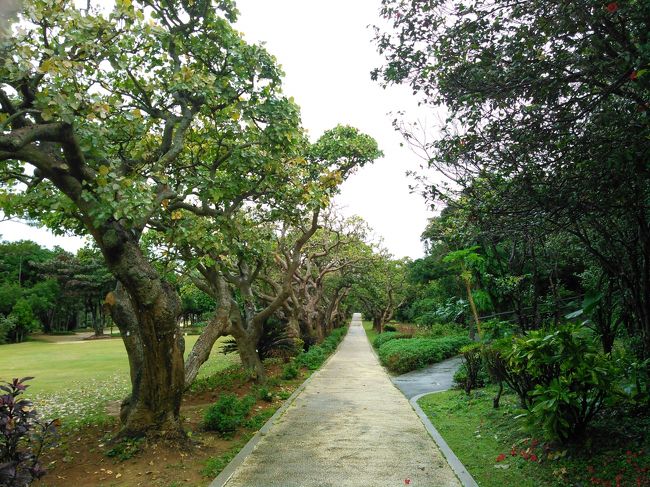 避寒旅 2018　宮古島　おまけ ～ 熱帯植物園＆博物館　＋那覇　識名園