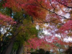 ０２．仙石原 長安寺の紅葉を見る箱根日帰り　紅葉の長安寺散策その１