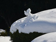 雪の新宿御苑