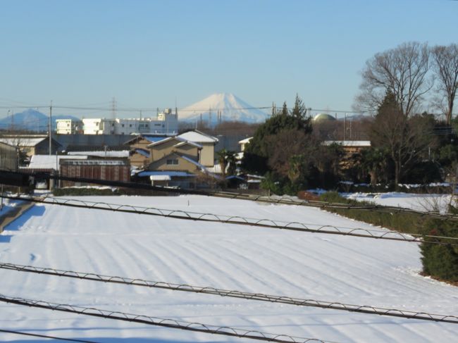 1月25日、午前7時58分頃にふじみ野市より素晴らしい富士山が見られました。　1月23日、24日には素晴らしい富士山は見られませんでしたがは、雲一つ掛かっていない素晴らしい富士山が見られてほっとしました。<br /><br /><br /><br />*大雪後に見られた素晴らしい富士山