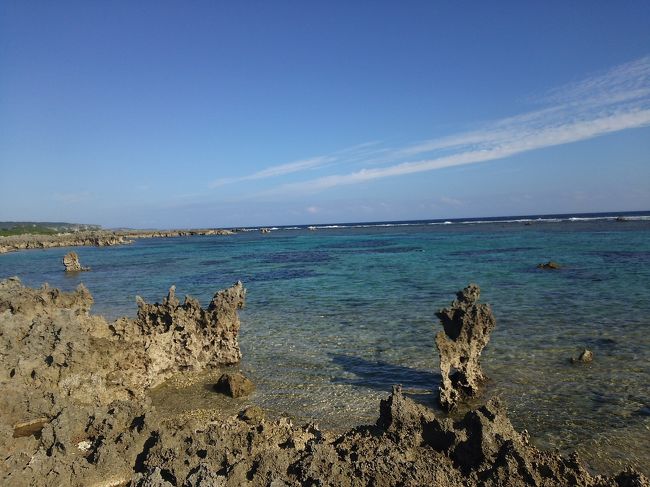 ６日間の宮古旅行は11月でも海に入ることができてとても楽しめました！岸からちゃぷちゃぷ泳いでただけなのにウミガメが何回も見れるなんて、最高でした。いろんな場所にビーチがあるからまた訪れたいです。