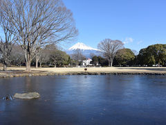 散歩 2018.01.25 =富士から吉原へ・中央公園の池が凍っていました=