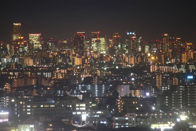 　近くて遠かった箕面大滝の紅葉狩りに初めて行ってきました。<br />　当初は、電車で行ってハイキングしながら箕面大滝まで行くつもりでしたが、先の台風21号の影響により、箕面公園内で、倒木や土砂崩落が発生し、復旧に向けた作業に伴い、滝道の区間が通行止めとなっていたため車で大滝まで行き、勝尾寺の紅葉を見、翌日は箕面観光ホテルから通行止めまで滝道を散策することにしました。。