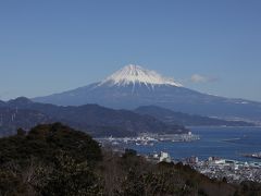 いちごと富士山で冬がベストシーズン？東京からぷらっとこだまで日帰り静岡の旅