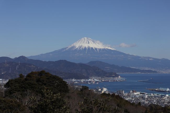 東京～横浜に住んでいると、ビジネスでなければ静岡市周辺に行く機会はそうそうない。<br />もっと言ってしまえば、御殿場以西の静岡県に旅行で行くという話は聞かない。<br /><br />理由はおそらく・・<br />1.静岡県は東海地方だから<br />東京からの所要時間が同じくらいでも、テレビの情報（中継など）は北関東の方が圧倒的に多い。<br />2.結局箱根、伊豆、熱海でいいや、になってしまう<br />静岡市近辺に温泉郷がないことも影響しているが、東京からは山ありビーチあり温泉アリうまい魚アリの伊豆箱根の方が車・電車で片道1時間ほど近い。<br />と言ったところだろう。<br /><br />調べてみると、温泉はないけれども、静岡市周辺は見どころが満載。<br />富士山絶景スポット（三保の松原、日本平）、本家本元久能山東照宮、ローカルグルメ（清水のマグロ、静岡おでん）・・・<br /><br />東京からこだまで片道1時間40分で往復1万円以内（ぷらっとこだま利用）なので、日帰りで行ってきました。<br />（温泉があったら1泊する、もしくは普通列車で1時間強かけて熱海まで戻って1泊することも考えたかもしれません。）<br /><br />行ってみて感じたのは、冬はオフシーズンと言われながらも、<br />富士山を見るには空気が澄んでいる冬がベストであること、<br />いちごの季節であり、いちご狩りも楽しめること<br />（残念ながら時間はとっていなかったので体験できず）、<br />といったことから冬の静岡への旅行は<br />人も少なく、東京からは穴場となっていました。