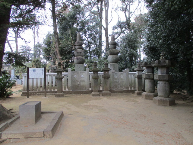 仏眼山・浄国寺（じょうこくじ、埼玉県さいたま市岩槻区加倉）は戦国時代後期小田原北条氏に属した岩槻城主太田氏房（おおた・うじふさ、１５６５～１５９２）が天正１５年（１５８７）開基の浄土宗寺院で、後に江戸時代の岩槻藩主阿部氏の菩提寺となり墓地には初代藩主阿部正次（あべ・まさつぐ、１５６９～１６４７）、三代藩主阿部定高（あべ・さだたか、１６３５～１６５９）の供養塔があります。<br /><br />阿部氏の出自は孝元天皇の皇子阿部大彦命の後裔と言われ、古代には大和国の阿倍村で栄えた阿部一族の子孫が三河国に移転土着、中世には阿部忠正（あべ・ただまさ）が同国額田郡を支配するも忠宣（ただひろ）の頃西三河に隆盛を極めた松平清康・広忠に仕えた譜代です。<br /><br />そして忠正の孫である正勝（まさかつ）は家康の側近として対今川氏、対武田氏、対北条氏との戦いに出陣、天正１８年（１５９０）家康の関東移封に伴い武蔵国鳩ケ谷に５千石を与えられるも慶長５年（１６００）死去し、家督は嫡男正次が相続します。<br /><br />正次はその後下野国鹿沼、上総国大多喜、相模国小田原を経て元和９年（１６２３）武蔵国岩槻藩主に転封、その間慶長１９年（１６１４）の大坂の陣では大坂城一番乗りを果たししかも一番首を挙げて武勲を挙げ家康の信頼を集めます。<br /><br />寛永３年（１６２６）には大坂城代を拝名、途中の寛永１４年（１６３７）の島原の乱では戦乱鎮静のため江戸の幕閣と現地島原との連絡調整役を勤め正保４年（１６４７）現職のまま大坂城内で病死します。<br /><br />正次二男として生まれた重次（しげつぐ、１５９８～１６５１）は実兄で世継の政澄（まさずみ）の死去により家督相続、更に寛永１５年（１６３８）老中に任命されます。<br /><br />慶安４年（１６５１）三代将軍家光逝去により元老中・佐倉藩主・堀田正盛（ほった・まさもり、１６０９～１６５１）、小姓頭番頭・御側出頭・鹿沼藩主・内田正信（うちだ・まさのぶ、１６１３～１６５１）、元書院番頭・三枝守恵（さいぐさ・もりしげ、１５９５～１６５１）と共に重次も殉死しこの４名は家臣８名を含めて「殉死者の墓」として上野・現龍院（げんりゅういん）にて供養されます。<br /><br />上述の如く重次の殉死を受けて阿部氏本流を引き継いだのは嫡男定高でその後正次から数えて五代の正邦（まさくに、１６５８～１７１５）の時１０万石に加増され備後国福山に転封、以降維新まで支配を続けます。<br /><br /><br /><br />本堂側の墓地を進むと石柵で囲まれた廟が現れ、その左側に建てられた説明板には下記の如く記されています。<br /><br />「　さいたま市指定史跡　　　　　　　<br />　　　　岩槻藩主阿部家の墓<br />　　　　　　　　　　　　　　　　　　平成１８年３月３０日指定<br /><br />江戸時代前期の岩槻藩主阿部家の二代にわたる藩主とその母、殉死した家臣の墓と燈籠で、計十二基からなります。境内二ヶ所に分かれ、ここには阿部家初代藩主正次の墓《五輪塔－高さ４.３メ－トル、百五十年忌に建立》と三代藩主定高の墓《五輪塔－高さ４.４メ－トル》、定高に殉じた家臣小倉與兵衛政光の墓《五輪塔》の他、三対六基の燈籠（うち二基は末裔である幕末の老中阿部正弘が、正次の二百五十年忌に建立）があります。<br /><br />また、別の区画には、正寿院（二代藩主重次の後室で、三代定高の母）の供養塔《宝篋印塔－高さ４.７メ－トル》と一対二基の燈籠があります。<br /><br />江戸時代前期の藩主の墓・燈籠がまとまって遺存し、岩槻藩や阿部家の菩提寺としての浄国寺を研究する上で基本的な資料となっています。<br /><br />　平成二十一年三月<br />　　　　　　　　　　　　　　　宗教法人　浄　国　寺<br />　　　　　　　　　　　　　　　さいたま市教育委員会　」