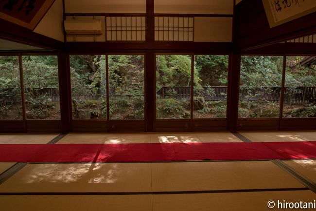 昨年に続き、今年も京都の紅葉を見に行きました。昨年は、名古屋からの日帰りバスツアーで、ただ混み合ったお寺を短時間で見ただけで、しかも雨とあってとても消化不良でした。<br /><br />今年は、じっくりお寺を見て歩こうと、１泊2日の旅行としました。京都での滞在時間を少しでも稼ごうと、新幹線での移動となりました。一番の混雑時期なので、指定席が取れなかったのですが、わずか４５分程度なので、自由席で立って行くのもそれほど苦になりませんでした。<br /><br />今回は、1日目は、「王道」の南禅寺・永観堂・哲学の道・安楽寺・銀閣寺と周り、夜は東寺のライトアップを見に行きました。<br /><br />2日目は、一乗寺・岩倉方面の「玄人好みの紅葉」を目指し、詩仙堂・金福寺・圓光寺・曼殊院・蓮華寺を回りました。できれば瑠璃光院にも行きたいと思っていたのですが、着いた時点で、2時間待ちと言われ、これは断念。次回へ回すことにしました。<br /><br />今回は、朝日新聞出版の「秋の京都２０１７」というガイドブックを頼りに、公共交通機関と歩きで回りました。この旅行記のコメントには、このガイドブックの情報を一部引用させていただいています。<br /><br />天気にも恵まれ、大変満足のいく旅となりました。これに味をしめ、来年以降もまだ行っていない場所を巡りたいと思っています。<br /><br />旅行記の投稿がちょっと季節外れとなってしまいましたが、何せ２日間で814枚の写真を撮ってしまったので、選定にとても時間がかかってしまいました。悪しからず、ご理解いただければ幸いです。<br /><br />大旅行のものは、どうしても写真の整理が後回しになり、どんどん溜まっています。最も古いものは、アメリカ駐在時代の2016年までさかのぼってしまいます。おいおい、時間を見つけては、旅行記を投稿したいと思っております。