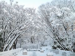 雪の新宿中央公園