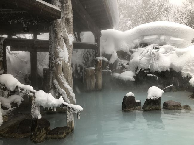 休暇を取得し、雪見露天の温泉に浸かってきました。<br /><br />加仁湯温泉の乳白色のお湯はかねてから憧れのお湯。<br />今回、「雪見露天送迎プラン」というありがたい企画を利用しました。<br /><br />露天温泉&雪三昧の満足度の高い一泊湯治でした♪
