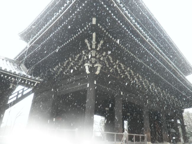 実に30年ぶり、修学旅行以来の京都見物で御座います。<br />偶々京都までの所用が出来まして30年ぶりの訪問になりました。中々来られなかったので、そんなご縁に、感謝、感謝。<br />しかし、今年は雪の当たり年で京都でも表紙の通り雪模様でした。<br />とても情緒深い景色が堪能できました。<br />ちょっと長い旅行記で済みません。<br />ずっと降り続く雪の京都が或る所で心身を清めると奇跡が起こりました。<br />最後のラーメンから大阪編とリンクしますが、後から写真を見直して改めて驚きました。<br />やっぱり南無南無は大事ですね。