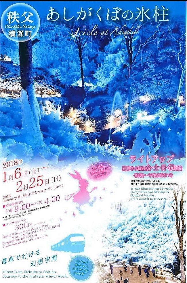 今年は冷え込みが厳しい冬になっていますので雪や氷の祭典は見どころが増えそうです。<br />その例外にもれず年明け早々から、首都圏から比較的近場の秩父芦ヶ久保（あしがくぼ）の氷柱を見に行きました。<br />きっかけは、先日初詣に聖神社に行った際、電車の車窓から偶然会場を見つけたことです。<br />今回は冷え込み厳しい中、午後から出発して夕方から夜のライトアップまでを見てきました。<br /><br />あしがくぼの氷柱は山の傾斜を利用してホースで引っ張った沢水を蒔き、外気で凍らせて成長させるもので、秩父三大氷柱のひとつです。<br />規模は１５００㎡、約４５０坪あり、毎年１月上旬～２月下旬、地元の人たちの手で造りだされる幅２００ｍ、高さ３０ｍmの大きな氷柱群が見れ、期間中の金～日曜、祝日はライトアップもされ、幻想的な雰囲気に包まれます。<br />２月25日までやってますんでまだ間に合います。<br />興味がある方は是非！お出掛けしてみて下さい(=ﾟωﾟ)ﾉ<br /><br />●開催期間　２０１８年１月６日（土）～２月25日（日）<br /><br />●鑑賞時間　９：００～１６：００時まで　ライトアップ開催日（毎週金・土・日曜日・祝日）２０：００まで<br /><br />●環境整備協力金：３００円<br /><br />■あしがくぼの氷柱<br />http://www.yokoze.org/2018/01/19645/