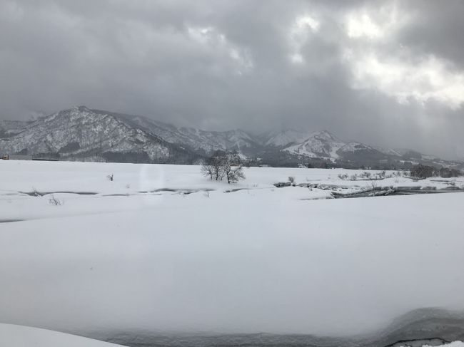 我が家の定宿のニューグリーンピア津南に出掛けました。<br />今回の旅行は　今月から我が家で飼い始めたポメちゃんを連れての初めての<br />旅行なので　元々予約していた部屋から ペット同伴ルームに変更してもらい1泊で出掛けます。