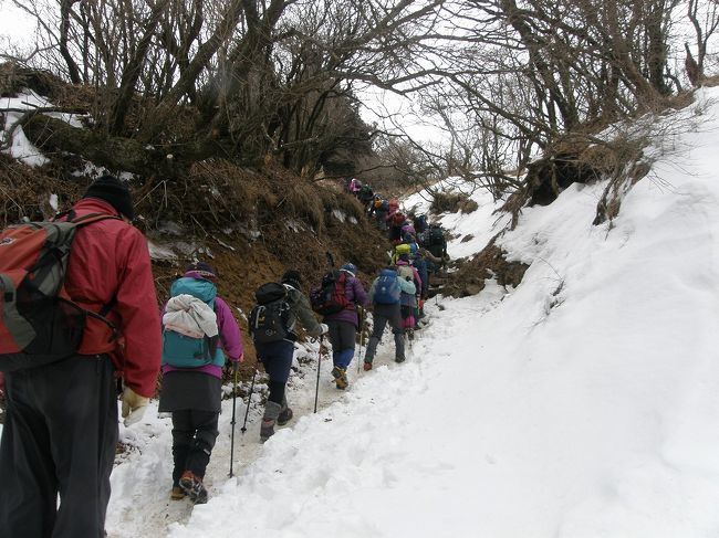 大山(1252m)は古代から霊山として農業の神、航行守護の神として崇められ、福を授け災害除けとして信仰を集め、別名「雨降山」と呼ばれるのは山頂に年中水のしたっている霊木があるからです。関八州の展望台といわれ、「かながわの景勝50」に選定された山頂からの眺めは素晴らしく、空気の澄んでいる時は相模平野から江ノ島、三浦半島、房総半島、東京都心の高層ビル群も望見でき、振り返れば丹沢尾根から富士、箱根の連山、秩父多摩の山並みがつづき、東京近郊の山で随一の眺望が誇っている雪の大山に登りました。