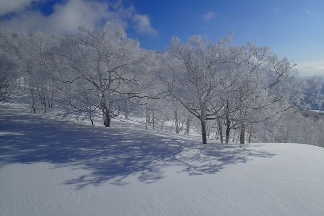 冬だ、スキーだ、北海道。ニセコアンヌプリでパウダー満喫!(^^)!