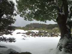 松葉カニと足立美術館