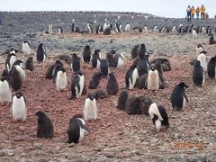 冗談から始まった南極上陸付きクルーズ旅行・ダイヤモンド・オーシャン号　NO.10　第6日目