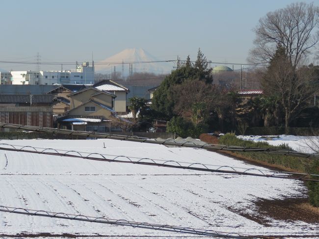 1月31日、午前8時48分頃にふじみ野市より久しぶりに富士山を見ました。<br /><br /><br /><br />*写真は久しぶりに見られた富士山