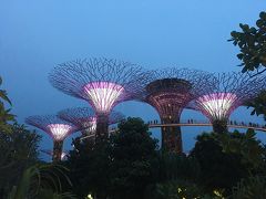 シンガポール航空で行くバルセロナの旅  シンガポール編