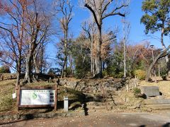 世田谷城址公園