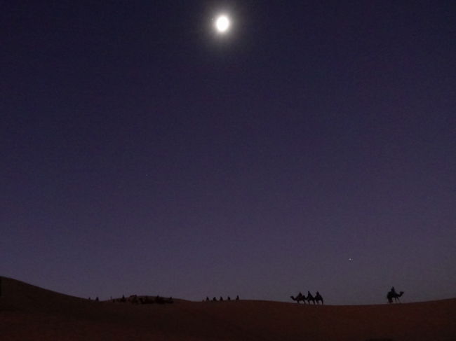 ２０１８年のお正月はモロッコへ。<br /><br />その８はメルズーガから、駱駝の背に揺られて大砂丘へ。美しい月が輝いていました。<br /><br />・４WDでメルズーガのホテルに到着<br />・星が降り注ぐ<br />・早朝、駱駝に乗って月の砂漠へ<br />・夜明けの砂漠<br />・砂丘から日の出を見る<br />・駱駝遣いのベルベル人<br />・再び駱駝の背に揺られて<br />・メルズーガからエルフードへ<br /><br />表紙写真は、月の光に照らされながら砂漠を進む駱駝の列。