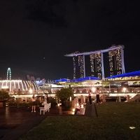 2018JGC修行 はじめてのOKA-SINタッチ シンガポール観光&#12316;OKAタッチ編