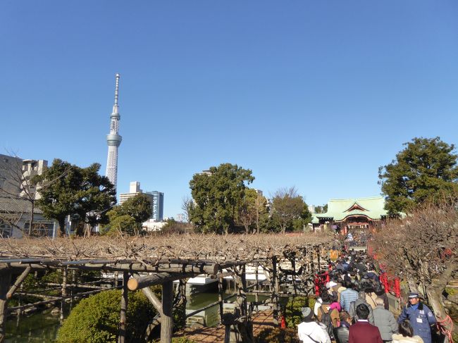 2018年　亀戸天神　初詣