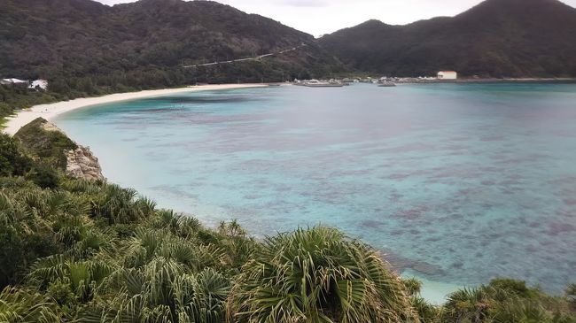 ２泊３日で沖縄に一人旅してきました。<br />1日目雨、2日目・3日目曇りとあいにくの天気でした。<br />気温は14度くらいでしたが、風が強いため、肌寒く感じました。<br />強風のため、2日目に予定していたホエールウオッチングは中止に…そこで予定を変更して渡嘉敷島に渡ってきました！