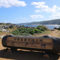 [2018年1月]4泊5日 冬の沖縄あったか旅 2日目