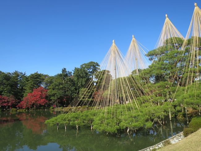 2泊3日の北陸旅行3日目<br />山中温泉から金沢へ。<br />兼六園の紅葉がきれいでした！