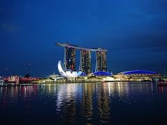 マリーナベイの夜景にうっとり