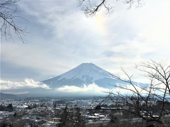 2歳０か月の子連れ旅行記です。<br />電車好きな息子のお気に入りの番組「中井精也のてつたび」で山梨県の富士急行線の回がありました。<br />それを見ていた私と旦那は吉田のうどんが食べたくなりました。<br />富士急行線にはトーマスランド号という電車もあるという。<br />これはぜひ息子に見せてあげねば！<br />ということで行ってまいりました。<br /><br />