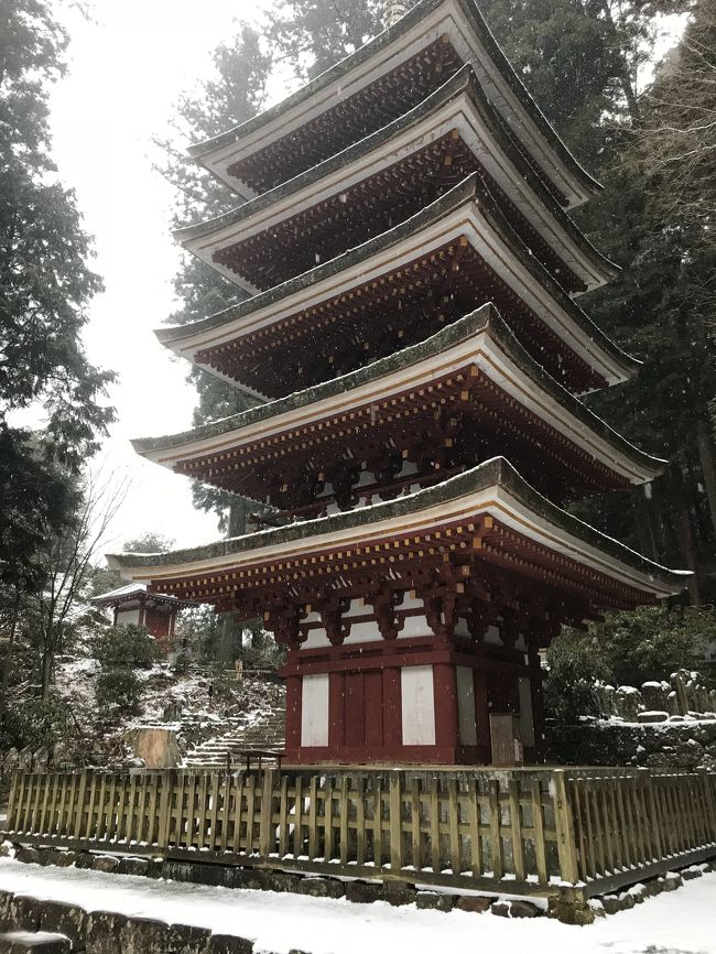 急遽奈良に遊びに行くことが決まり、日帰りで観光してきました❁.*･ﾟ<br /><br />五重塔がある室生寺へ！<br /><br />簡単に予定を立てたわりに充実した１日になりました( *´꒳`* )