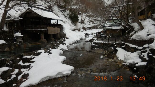 　雪が降る季節になると秘湯を求めて湯治に行きたくなる。今回は2年ぶりの湯治行で群馬県北部の宝川温泉、湯宿温泉、法師温泉を訪れた。湯治宿は湯宿温泉の歴史ある金田屋さんで３泊。この冬一番の寒波の中だったがその分雪景色は綺麗で、湯治の合間にたくみの里巡りやスノーシューハイキングに行った。<br /><br />　１日目（１月２３日）。<br />　本来１月２２日の夜行バスを利用して大阪から前橋に向かう予定だったが、関東地方の大雪で乗車５時間前にバス運休の連絡があった。急遽予定を変更し翌２３日早朝の新幹線に乗車、東京経由で午前中にみなかみ町に到着した。午後の２時間を宝川温泉で雪の露天風呂を楽しみ夕刻に湯宿温泉金田屋に投宿した。