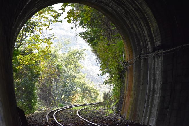 三江線（さんこうせん）の秘境駅と言われている長谷駅（ながたにえき）を訪れます。<br />長谷駅は昭和44年（1969）に近くの粟屋小学校北分校が廃校となり、児童が三次小学校に通学するため設置されたのが始まりです。<br />上り下り各々5本のうち停車する列車は、朝方に三次方面が2本、14時以降に口羽方面が3本と、まさに通学用ダイヤです。<br />現在は利用する児童がいなくなり、乗り降りする人がほとんどいません。<br /><br />今日は三江線途中駅の石見川本（島根県）から出発し、トンネル、橋梁をいくつも通り、紅葉の景色を眺めながら長谷駅（広島県）へ向かいます。<br />長谷駅では川面に映る列車を見送り、かつて小学生が雨風をしのいだ待合室をのぞきます。<br />次の列車まで5時間もあるので、列車の停車する隣の船佐駅（ふなさえき）まで2.2kmを歩きます。<br /><br />なお、旅行記は三次市教育要覧、三江沿線の橋梁・トンネル・踏切データベース、ゆるキャラグランプリ、秘境駅ランキング2017年度版、三江線活性化協議会、きのこ図鑑、安芸高田市教育委員会「空爆被災の地」、作木村誌、三次市観光公式サイトなどのHP・資料を参考にしています。<br />