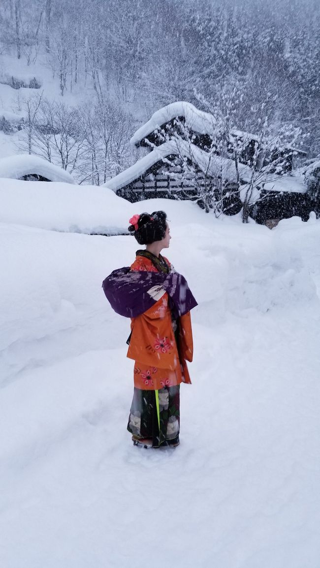 一泊二日でドライブ友達と乳頭温泉&amp;角館に行ってきました。元々は雪道をWRカーで走って、ついでに雪見風呂も楽しんで来ようという企画だったんですが、いつの間にか冬の乳頭温泉・鶴の湯に行こうということになり、たまたまネットで探したところ、JRの「地温泉」という格安ツアーがあったためサクッと決めました。東京―田沢湖間を新幹線で往復するだけで一人３０,０００円を越えるのに、なぜか新幹線往復に鶴の湯温泉一泊二食を付けて一人２９，５００円！　こんなツアーがあるなんて！　温泉も宿も食事も最高でした。天気も基本雪だったんですが、要所では晴れたり、星空が見えたり、雪が降って欲しいシチュエーションでは雪が降り、色んな乳頭温泉を楽しめました。２日間でしたが、とても内容の濃い旅ができ、大満足でした。<br /><br />１日目　　早朝のこまちで田沢湖へ。昼前に蟹場温泉到着。蟹場、孫六、大釜、妙乃湯、休暇村を徒歩で回り、その後鶴の湯に。念願の鶴の湯温泉に宿泊。<br />２日目　　鶴の湯温泉から角館に移動し角館観光。１３時５０分のこまちで帰京。<br /><br />１日目は、７時３６分のこまち３号で田沢湖駅へ、田沢湖駅から羽後交通バスでまずは蟹場温泉に行ました。蟹場温泉の後は、孫六温泉、大釜温泉、妙乃湯温泉、休暇村と歩いて回り、最後に鶴の湯温泉へ。すべて露天風呂に入ってきました。天気次第では諦めようと思っていた孫六温泉も、行く頃に晴れていてラッキーでした。この日は大雪が降ったり、止んだり、時に晴れたりと目まぐるしく天気が変わる中、要所では晴れて、色んな景色を楽しむことができました。とても内容の濃い一日を送ることができ、大満足の一日でした。