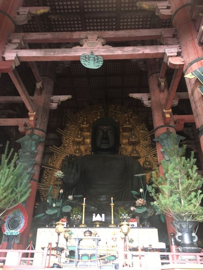 4日目は再び奈良に戻り、今回の旅の目的を果たしに行きました。<br />中学の修学旅行以降も大人になって2回行きましたが、毎回違う感覚をいただいている奈良。<br />一層大好きになりました。