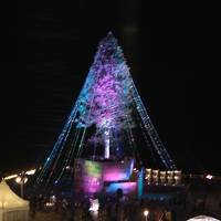 ホテルオークラ神戸で世界一のクリスマスツリーを鑑賞