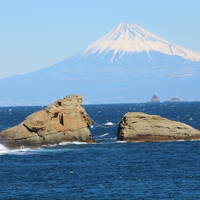 伊豆半島ドライブ