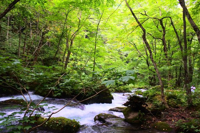 東北旅行は今回で２回目。<br />前回は秋田から福島へ移動しながら温泉を楽しみました。<br />しかし奥入瀬渓流に行きたい気持ちが残ってしまい、今回の旅行を計画しました。<br /><br />神戸空港から仙台まで飛行機で移動⇒レンタカーでその日のうちに奥入瀬まで<br /><br />■利用した旅館＆ホテル<br /><br />１泊目　星野リゾート奥入瀬渓流ホテル<br /><br />２泊目　黄金崎不老ふ死温泉<br /><br />３泊目　阿部旅館<br /><br />４泊目　「蔵王の森」がつくる美と健康の温泉宿　ゆと森倶楽部<br /><br />宿泊先を選んだポイントは優先順位として<br />①露天風呂の開放感<br />②食事の評価が標準以上<br />③部屋がそこそこ綺麗<br /><br />この旅行で体重が２㌔増えてしまいました。