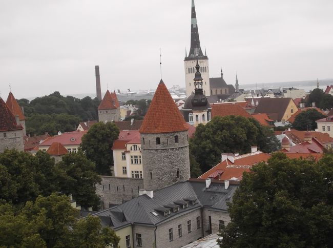 　ロシアとヘルシンキそれにエストニアの首都「タリン」を訪れるツアーに参加しました。<br /><br />　エストニアの首都「タリン」は、ヘルシンキからフェリーで日帰りです。　　　ハンザ同盟の交易都市として、栄えたそうです。　旧市街は、世界遺産に指定されています。　<br />　　中世そのままの趣を残す旧市街ですが、とても多くの人で大混雑していました。　　　大型クルーズ船が少なくとも４隻停泊していましたから。<br />　　　旧市街は狭いので、徒歩で観光出来ました。