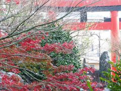 東口参道宮新橋浅間神社　源頼朝が狩りの時　足を掛けたと言われる石、湧き水を汲みに人々が