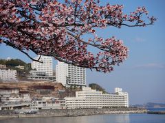 静岡・“熱海梅園梅まつり2018”～“あたみ桜糸川桜まつり”を訪れて