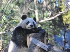 上野動物園