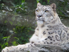 ５年ぶりくらいの再訪 【多摩動物公園】