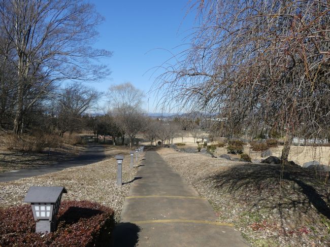 栃木県栃木市岩舟町の「みかも山公園」の北西の隅に「万葉庭園」に行ってきました。<br />かつて都があった京都から、東北地方へ赴く三つの街道の一つである「東山道」が、この公園がある「三毳山」付近を通っており、ここには「三毳の関」が設けられていました。また「三毳山」は万葉集にも読まれており、万葉集に因んだ植物を集めて「万葉庭園」が造られました。<br />3月になるとシダレウメに彩られる庭園ですが、行ったときには、まだまだ冬景色でした。花は、東口のロウバイ、西口のマンサク、そして、園内のウメが一本だけ咲き始めていました。<br /><br />旅行記作成に際しては、現地の説明板、現地で頂いたパンフレット、ホームページ等のネット情報を参考にしました。