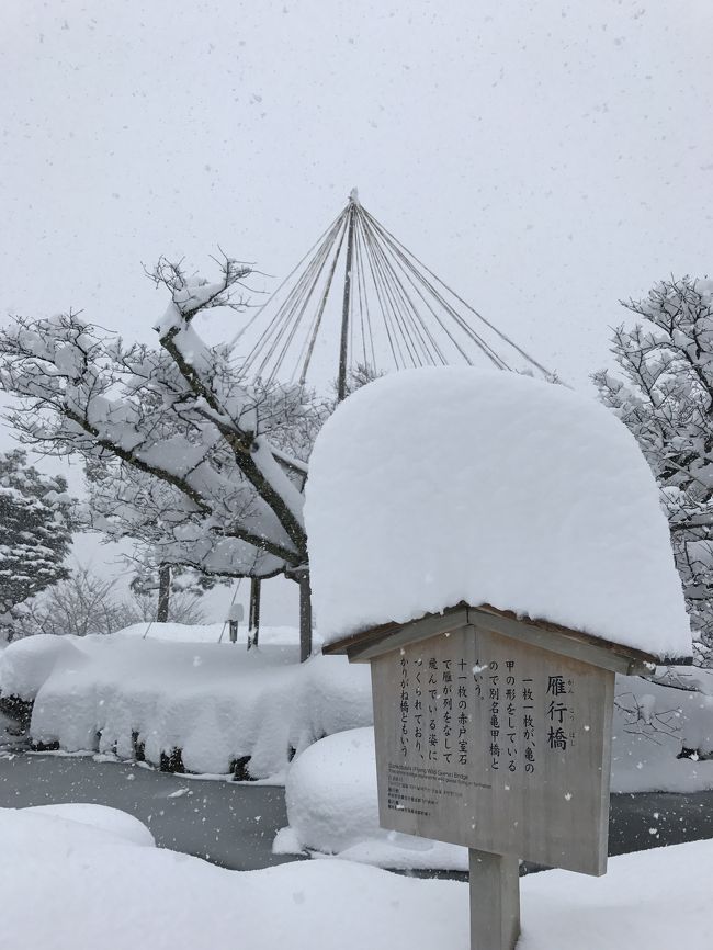 雪降る兼六園と富山県の合掌造りが見たくて、北陸大雪で欠航が相次ぐ悪天候の中、旅してきました。<br />世界遺産の五箇山は、静かで圧倒的な美しさでした。<br /><br /><br />